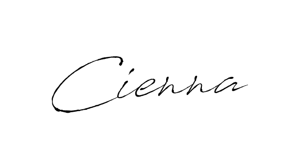 Use a signature maker to create a handwritten signature online. With this signature software, you can design (Antro_Vectra) your own signature for name Cienna. Cienna signature style 6 images and pictures png