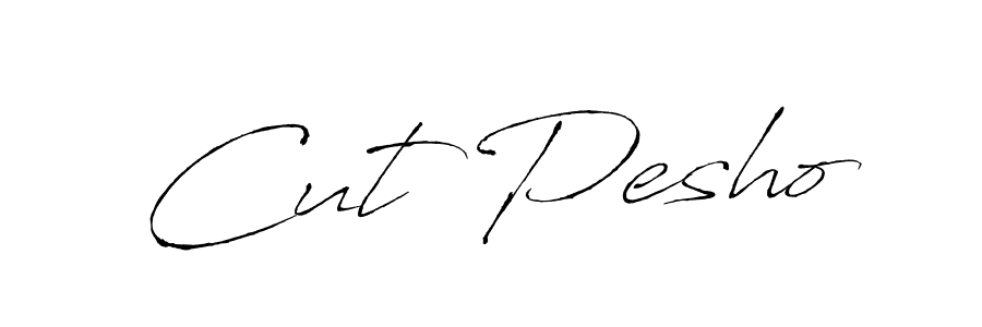 You can use this online signature creator to create a handwritten signature for the name Cut Pesho. This is the best online autograph maker. Cut Pesho signature style 6 images and pictures png