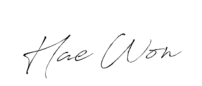 Make a beautiful signature design for name Hae Won. Use this online signature maker to create a handwritten signature for free. Hae Won signature style 6 images and pictures png