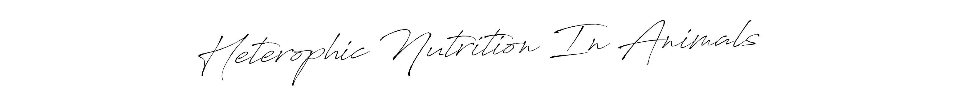 It looks lik you need a new signature style for name Heterophic Nutrition In Animals. Design unique handwritten (Antro_Vectra) signature with our free signature maker in just a few clicks. Heterophic Nutrition In Animals signature style 6 images and pictures png