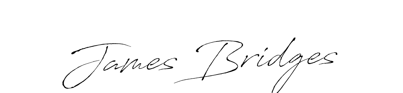 You should practise on your own different ways (Antro_Vectra) to write your name (James Bridges) in signature. don't let someone else do it for you. James Bridges signature style 6 images and pictures png