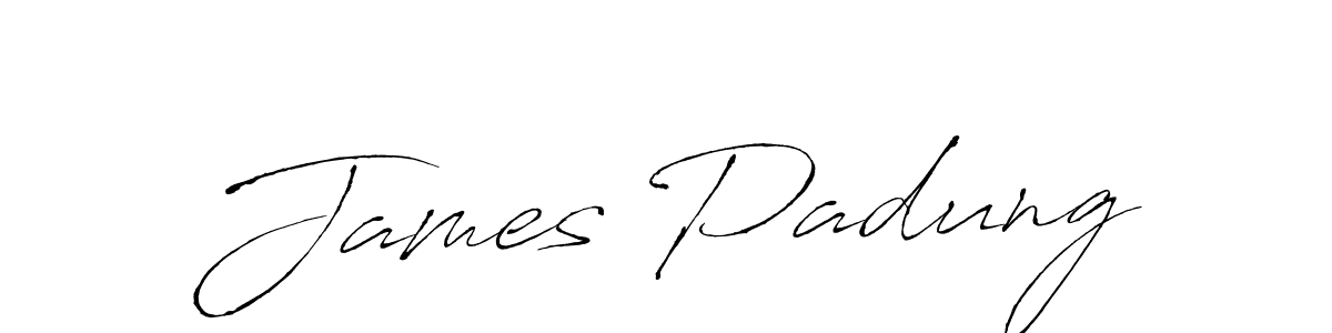 The best way (Antro_Vectra) to make a short signature is to pick only two or three words in your name. The name James Padung include a total of six letters. For converting this name. James Padung signature style 6 images and pictures png
