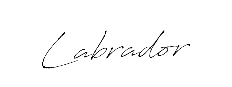 Design your own signature with our free online signature maker. With this signature software, you can create a handwritten (Antro_Vectra) signature for name Labrador. Labrador signature style 6 images and pictures png