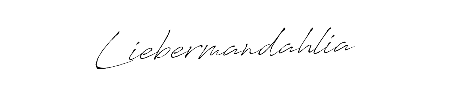 The best way (Antro_Vectra) to make a short signature is to pick only two or three words in your name. The name Liebermandahlia include a total of six letters. For converting this name. Liebermandahlia signature style 6 images and pictures png