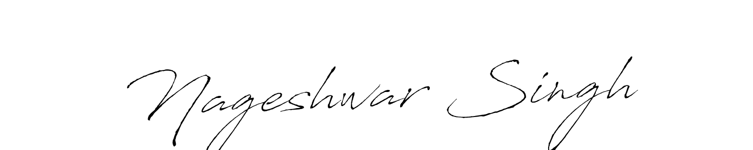 Make a beautiful signature design for name Nageshwar Singh. Use this online signature maker to create a handwritten signature for free. Nageshwar Singh signature style 6 images and pictures png