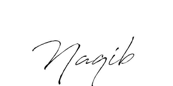 Make a beautiful signature design for name Naqib . Use this online signature maker to create a handwritten signature for free. Naqib  signature style 6 images and pictures png