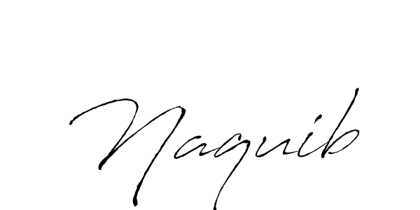 Make a beautiful signature design for name Naquib. Use this online signature maker to create a handwritten signature for free. Naquib signature style 6 images and pictures png