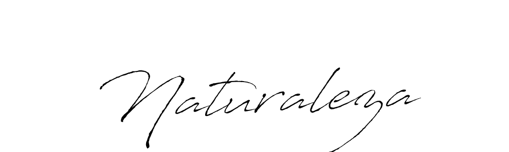 Similarly Antro_Vectra is the best handwritten signature design. Signature creator online .You can use it as an online autograph creator for name Naturaleza. Naturaleza signature style 6 images and pictures png