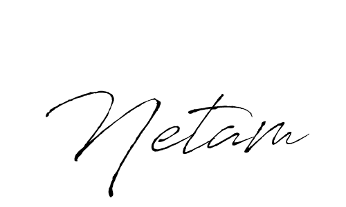 You should practise on your own different ways (Antro_Vectra) to write your name (Netam) in signature. don't let someone else do it for you. Netam signature style 6 images and pictures png