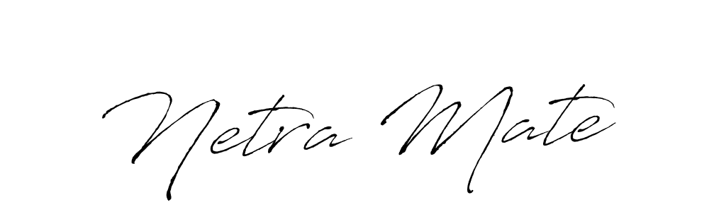 Here are the top 10 professional signature styles for the name Netra Mate. These are the best autograph styles you can use for your name. Netra Mate signature style 6 images and pictures png