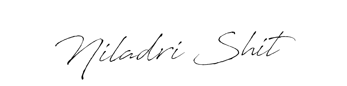 Make a beautiful signature design for name Niladri Shit. Use this online signature maker to create a handwritten signature for free. Niladri Shit signature style 6 images and pictures png