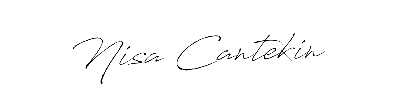 The best way (Antro_Vectra) to make a short signature is to pick only two or three words in your name. The name Nisa Cantekin include a total of six letters. For converting this name. Nisa Cantekin signature style 6 images and pictures png