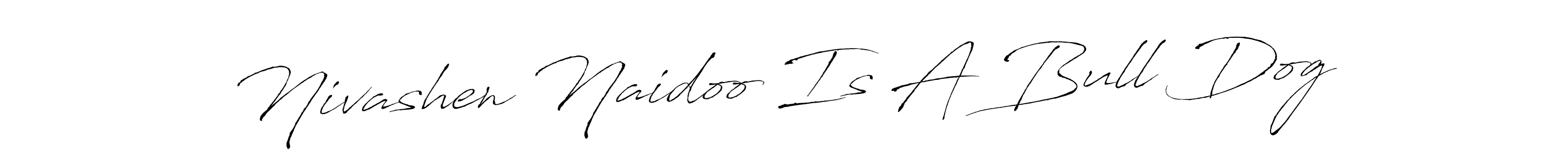 if you are searching for the best signature style for your name Nivashen Naidoo Is A Bull Dog. so please give up your signature search. here we have designed multiple signature styles  using Antro_Vectra. Nivashen Naidoo Is A Bull Dog signature style 6 images and pictures png