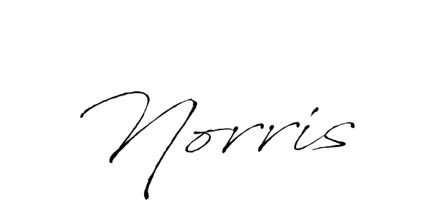 Make a beautiful signature design for name Norris. Use this online signature maker to create a handwritten signature for free. Norris signature style 6 images and pictures png
