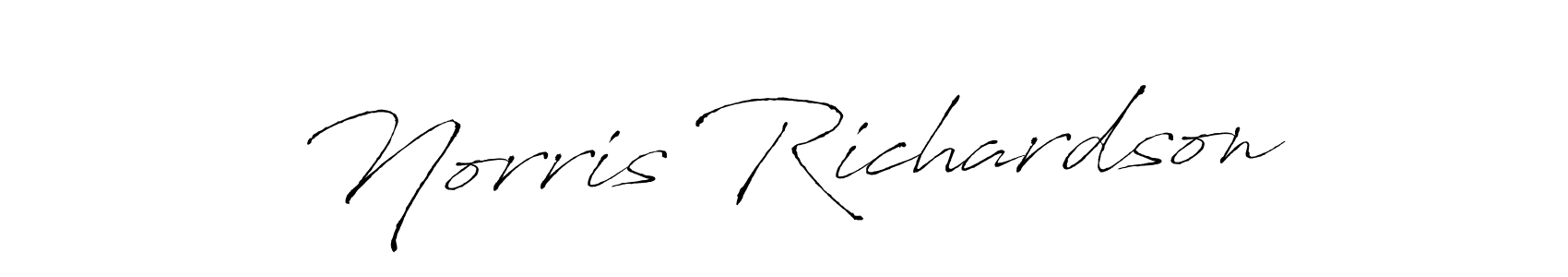 How to make Norris Richardson signature? Antro_Vectra is a professional autograph style. Create handwritten signature for Norris Richardson name. Norris Richardson signature style 6 images and pictures png