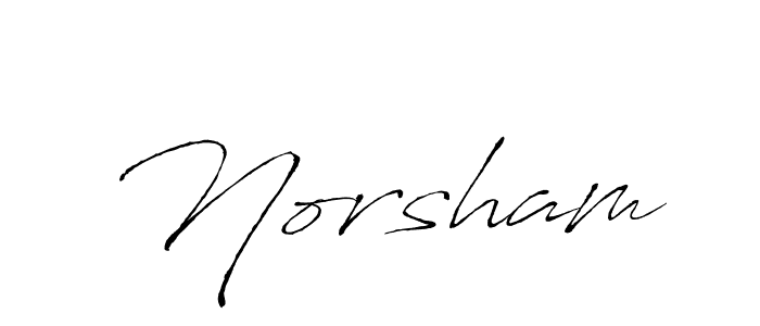 Create a beautiful signature design for name Norsham. With this signature (Antro_Vectra) fonts, you can make a handwritten signature for free. Norsham signature style 6 images and pictures png