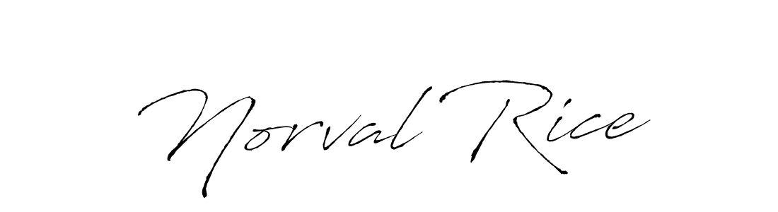 Norval Rice stylish signature style. Best Handwritten Sign (Antro_Vectra) for my name. Handwritten Signature Collection Ideas for my name Norval Rice. Norval Rice signature style 6 images and pictures png