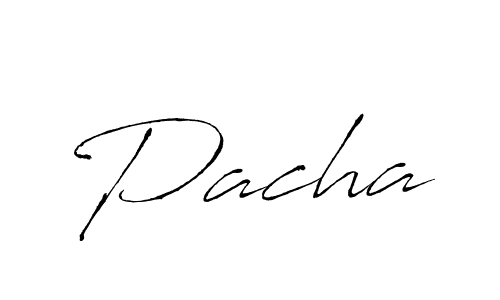 Create a beautiful signature design for name Pacha. With this signature (Antro_Vectra) fonts, you can make a handwritten signature for free. Pacha signature style 6 images and pictures png