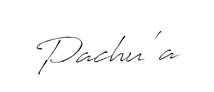 Pachu'a stylish signature style. Best Handwritten Sign (Antro_Vectra) for my name. Handwritten Signature Collection Ideas for my name Pachu'a. Pachu'a signature style 6 images and pictures png