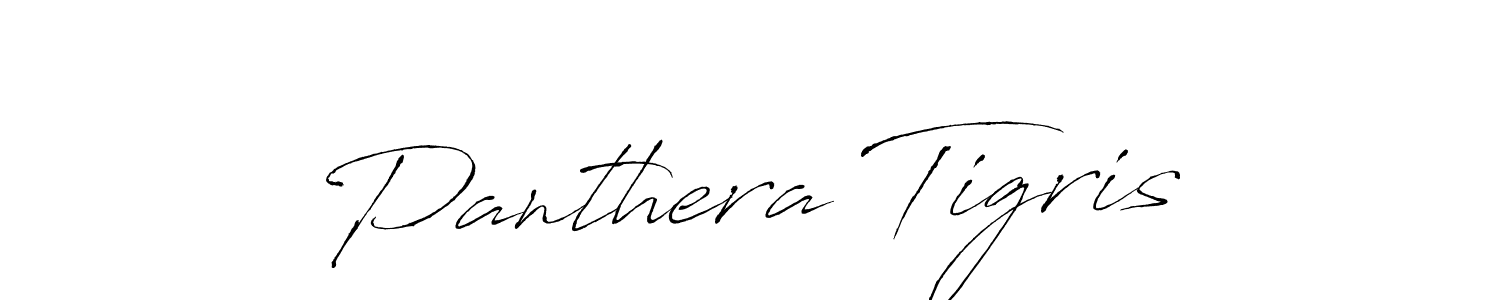 You can use this online signature creator to create a handwritten signature for the name Panthera Tigris. This is the best online autograph maker. Panthera Tigris signature style 6 images and pictures png