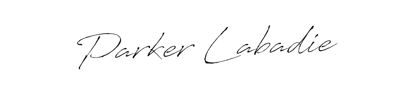 The best way (Antro_Vectra) to make a short signature is to pick only two or three words in your name. The name Parker Labadie include a total of six letters. For converting this name. Parker Labadie signature style 6 images and pictures png