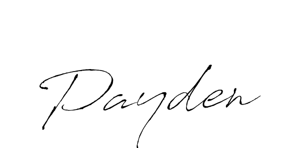 Payden stylish signature style. Best Handwritten Sign (Antro_Vectra) for my name. Handwritten Signature Collection Ideas for my name Payden. Payden signature style 6 images and pictures png