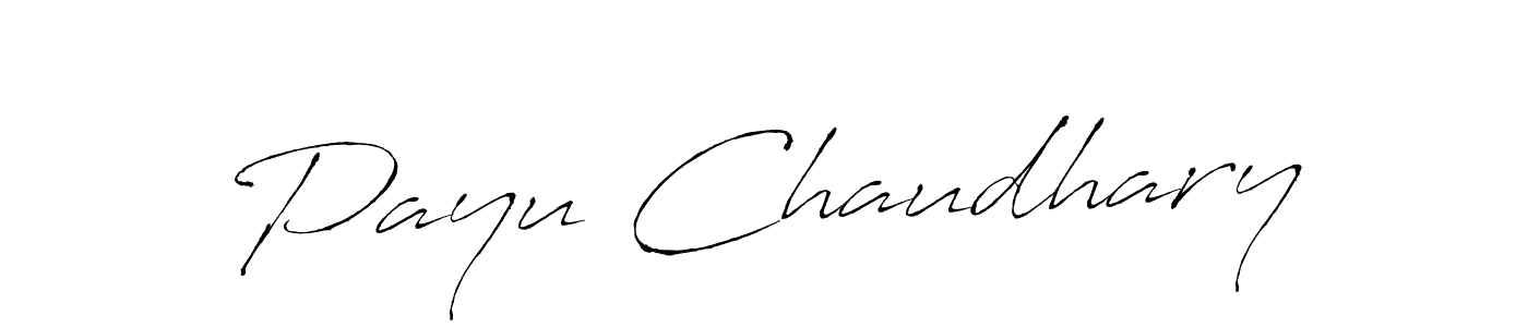 This is the best signature style for the Payu Chaudhary name. Also you like these signature font (Antro_Vectra). Mix name signature. Payu Chaudhary signature style 6 images and pictures png