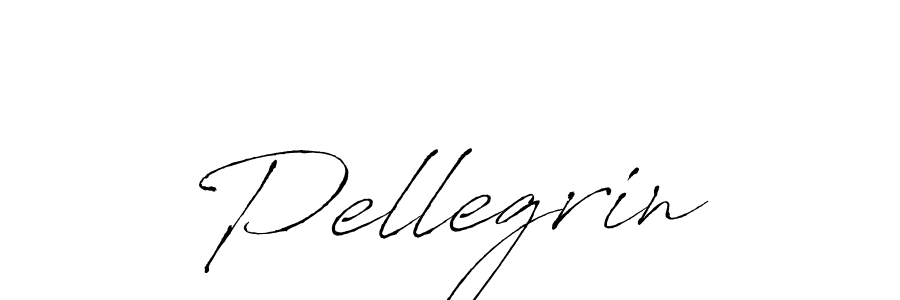 You should practise on your own different ways (Antro_Vectra) to write your name (Pellegrin) in signature. don't let someone else do it for you. Pellegrin signature style 6 images and pictures png