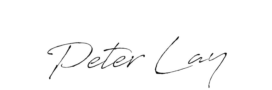 Design your own signature with our free online signature maker. With this signature software, you can create a handwritten (Antro_Vectra) signature for name Peter Lay. Peter Lay signature style 6 images and pictures png