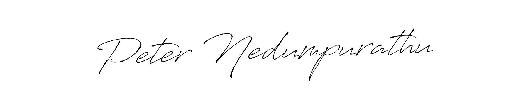 How to Draw Peter Nedumpurathu signature style? Antro_Vectra is a latest design signature styles for name Peter Nedumpurathu. Peter Nedumpurathu signature style 6 images and pictures png