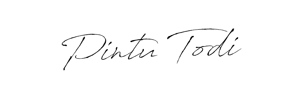 Use a signature maker to create a handwritten signature online. With this signature software, you can design (Antro_Vectra) your own signature for name Pintu Todi. Pintu Todi signature style 6 images and pictures png