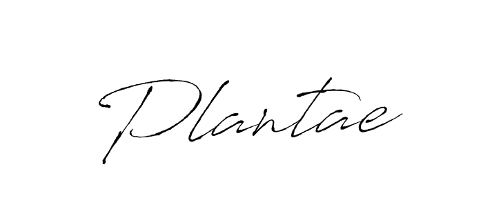 Here are the top 10 professional signature styles for the name Plantae. These are the best autograph styles you can use for your name. Plantae signature style 6 images and pictures png