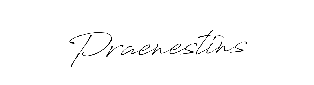 Make a beautiful signature design for name Praenestins. Use this online signature maker to create a handwritten signature for free. Praenestins signature style 6 images and pictures png