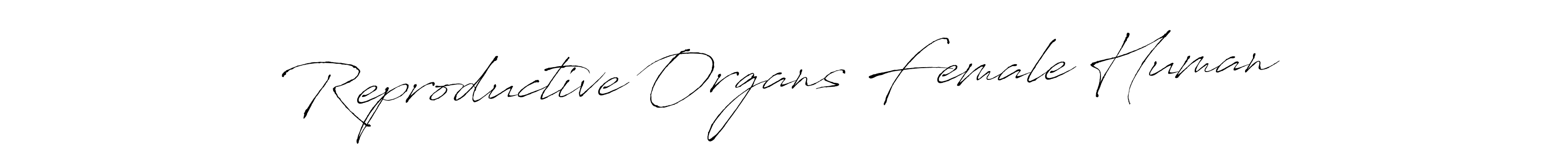 How to make Reproductive Organs Female Human name signature. Use Antro_Vectra style for creating short signs online. This is the latest handwritten sign. Reproductive Organs Female Human signature style 6 images and pictures png