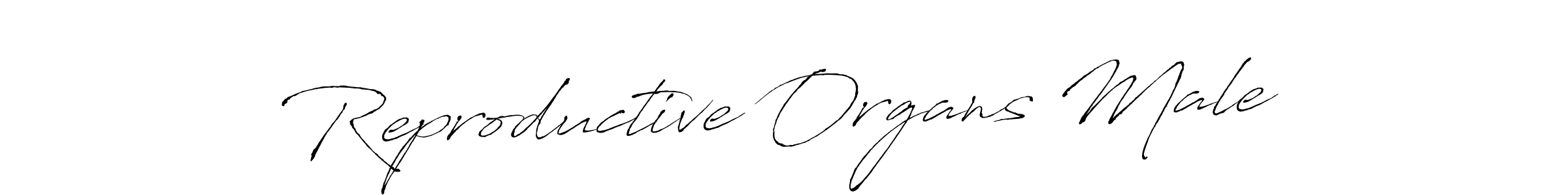 This is the best signature style for the Reproductive Organs Male name. Also you like these signature font (Antro_Vectra). Mix name signature. Reproductive Organs Male signature style 6 images and pictures png