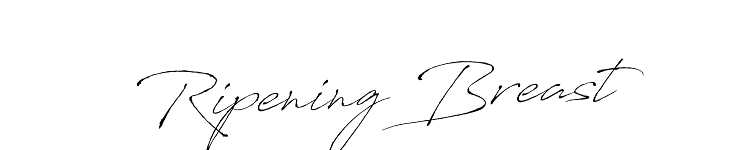 Also You can easily find your signature by using the search form. We will create Ripening Breast name handwritten signature images for you free of cost using Antro_Vectra sign style. Ripening Breast signature style 6 images and pictures png