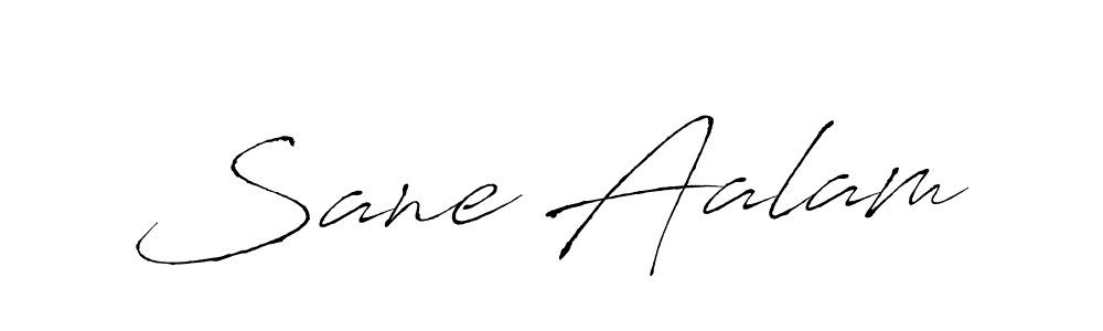 You can use this online signature creator to create a handwritten signature for the name Sane Aalam. This is the best online autograph maker. Sane Aalam signature style 6 images and pictures png