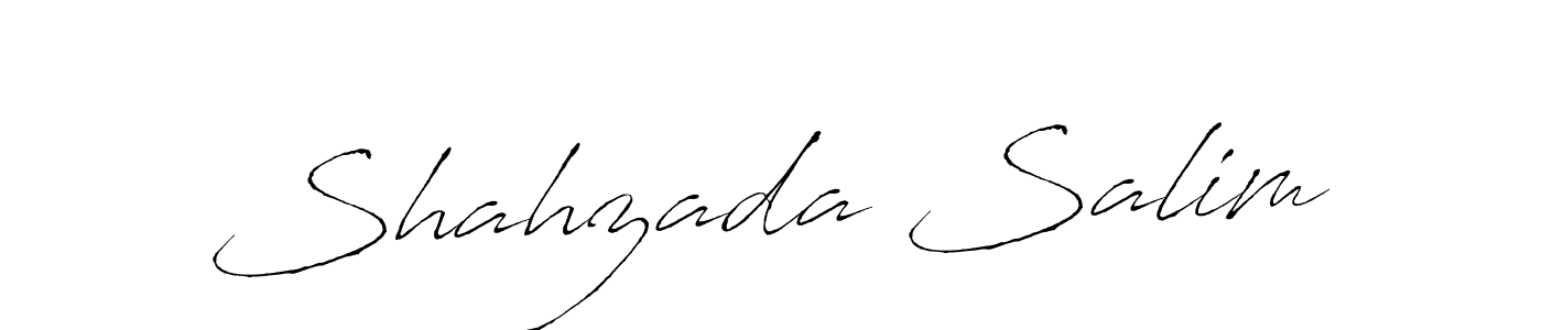 Make a beautiful signature design for name Shahzada Salim. Use this online signature maker to create a handwritten signature for free. Shahzada Salim signature style 6 images and pictures png