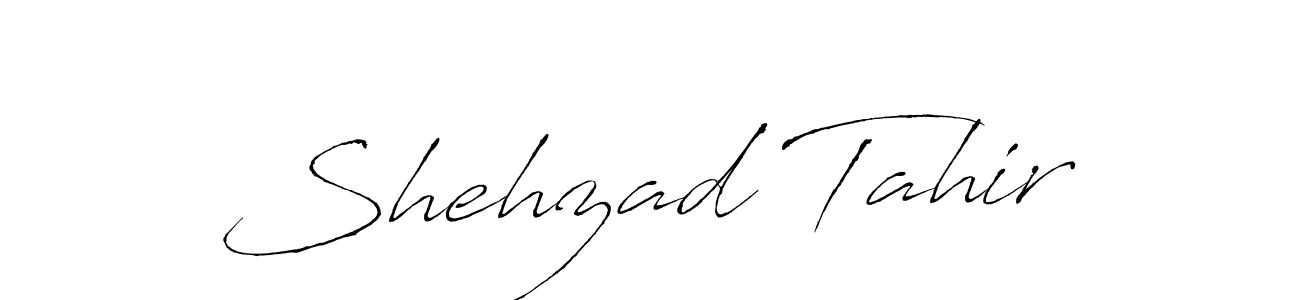 Here are the top 10 professional signature styles for the name Shehzad Tahir. These are the best autograph styles you can use for your name. Shehzad Tahir signature style 6 images and pictures png