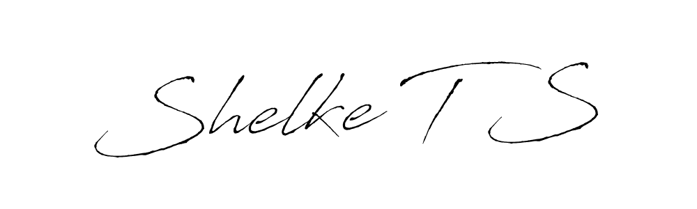 Here are the top 10 professional signature styles for the name Shelke T S. These are the best autograph styles you can use for your name. Shelke T S signature style 6 images and pictures png