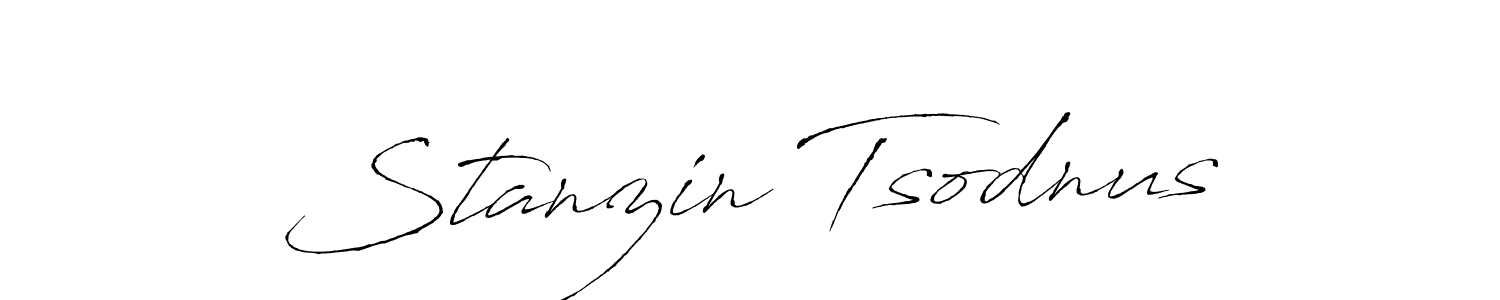 if you are searching for the best signature style for your name Stanzin Tsodnus. so please give up your signature search. here we have designed multiple signature styles  using Antro_Vectra. Stanzin Tsodnus signature style 6 images and pictures png