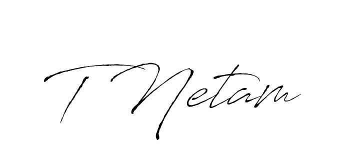Use a signature maker to create a handwritten signature online. With this signature software, you can design (Antro_Vectra) your own signature for name T Netam. T Netam signature style 6 images and pictures png