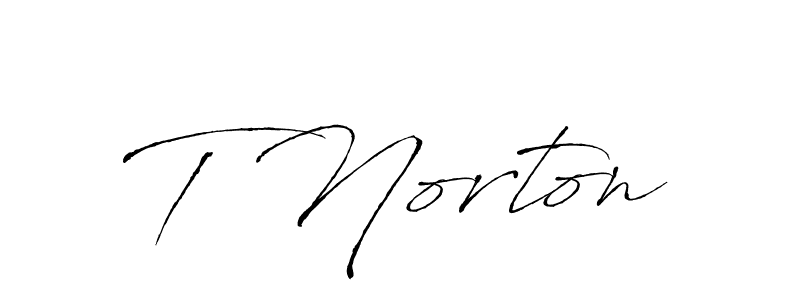 Make a beautiful signature design for name T Norton. Use this online signature maker to create a handwritten signature for free. T Norton signature style 6 images and pictures png