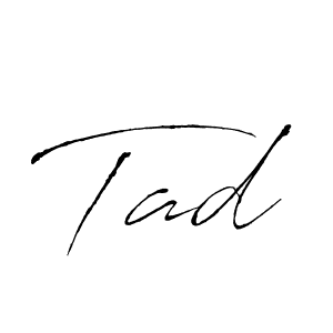 Tad stylish signature style. Best Handwritten Sign (Antro_Vectra) for my name. Handwritten Signature Collection Ideas for my name Tad. Tad signature style 6 images and pictures png