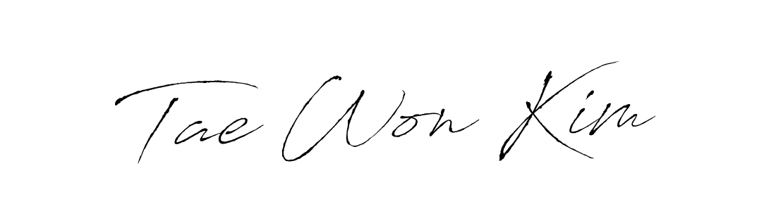 You can use this online signature creator to create a handwritten signature for the name Tae Won Kim. This is the best online autograph maker. Tae Won Kim signature style 6 images and pictures png