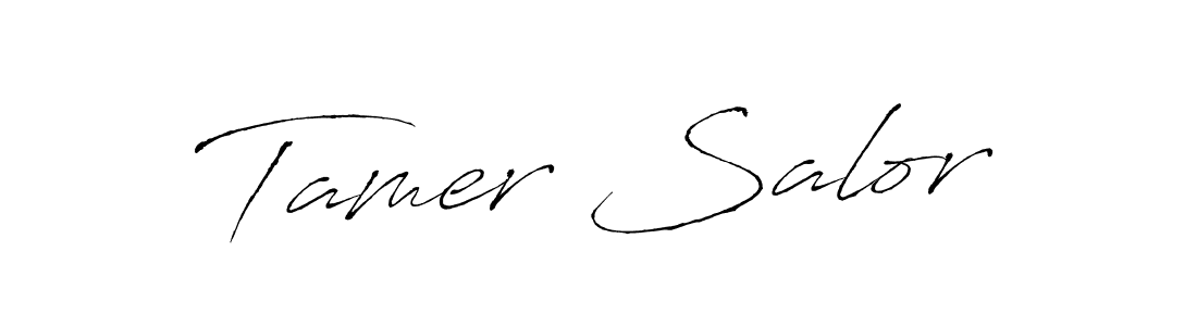 Make a beautiful signature design for name Tamer Salor. Use this online signature maker to create a handwritten signature for free. Tamer Salor signature style 6 images and pictures png