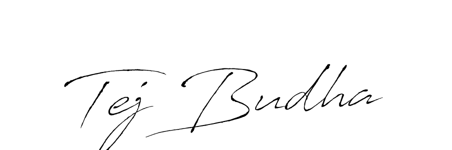 Tej Budha stylish signature style. Best Handwritten Sign (Antro_Vectra) for my name. Handwritten Signature Collection Ideas for my name Tej Budha. Tej Budha signature style 6 images and pictures png