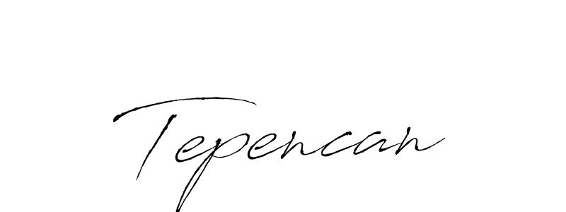 Tepencan stylish signature style. Best Handwritten Sign (Antro_Vectra) for my name. Handwritten Signature Collection Ideas for my name Tepencan. Tepencan signature style 6 images and pictures png