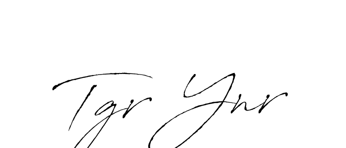 if you are searching for the best signature style for your name Tgr Ynr. so please give up your signature search. here we have designed multiple signature styles  using Antro_Vectra. Tgr Ynr signature style 6 images and pictures png