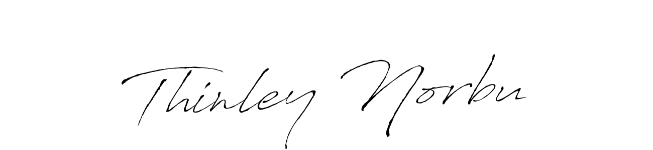 You should practise on your own different ways (Antro_Vectra) to write your name (Thinley Norbu) in signature. don't let someone else do it for you. Thinley Norbu signature style 6 images and pictures png